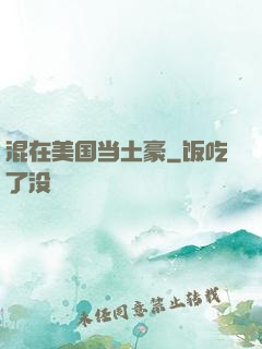 混在美国当土豪