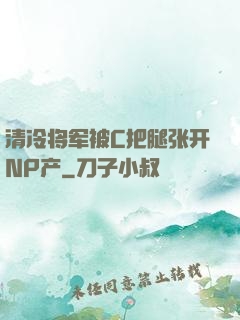 清冷将军被C把腿张开NP产