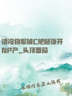 清冷将军被C把腿张开NP产