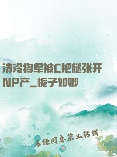 清冷将军被C把腿张开NP产