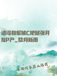 清冷将军被C把腿张开NP产