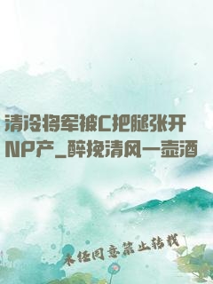 清冷将军被C把腿张开NP产