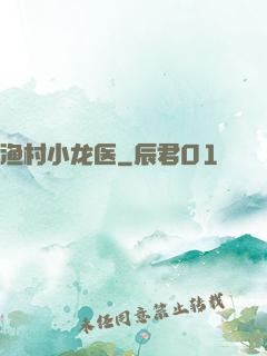渔村小龙医