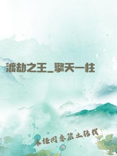 渡劫之王