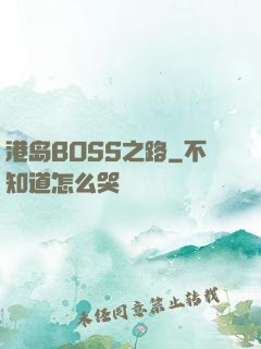 港岛BOSS之路