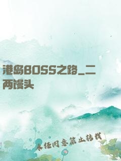 港岛BOSS之路