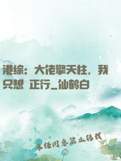 港综：大佬擎天柱，我只想揾正行
