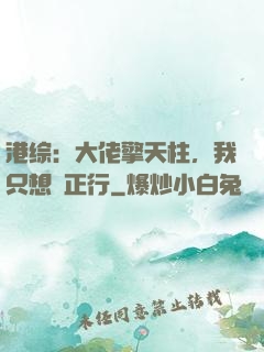 港综：大佬擎天柱，我只想揾正行