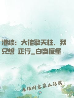 港综：大佬擎天柱，我只想揾正行