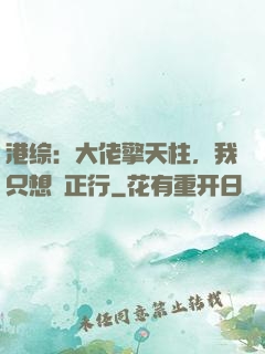 港综：大佬擎天柱，我只想揾正行