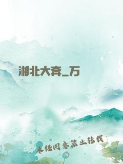 湘北大奔