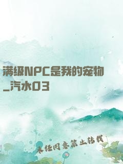 满级NPC是我的宠物