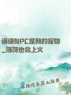满级NPC是我的宠物