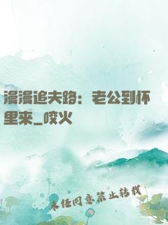 漫漫追夫路：老公到怀里来