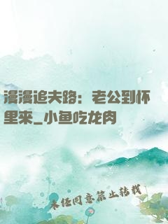 漫漫追夫路：老公到怀里来