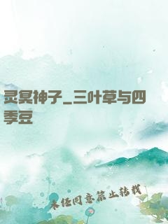 灵冥神子