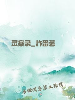灵案录