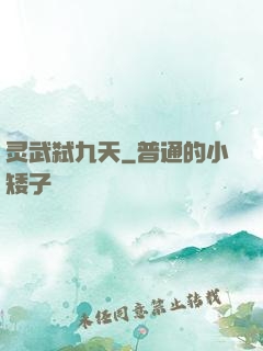 灵武弑九天