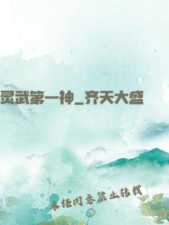 灵武第一神