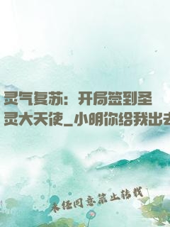 灵气复苏：开局签到圣灵大天使