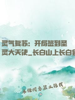 灵气复苏：开局签到圣灵大天使