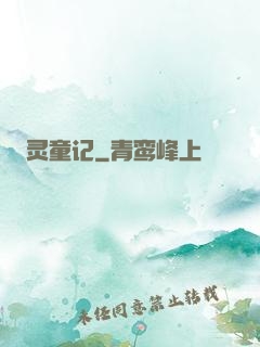 灵童记