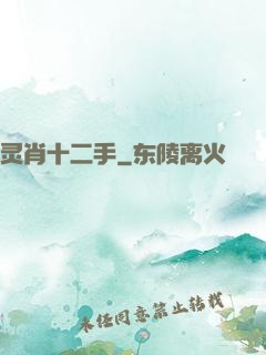 灵肖十二手