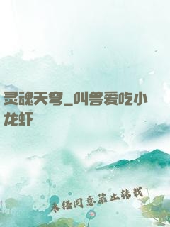 灵魂天穹