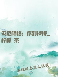 灾厄降临：序列侦探