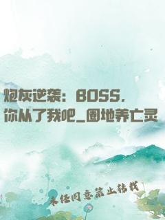 炮灰逆袭：BOSS，你从了我吧