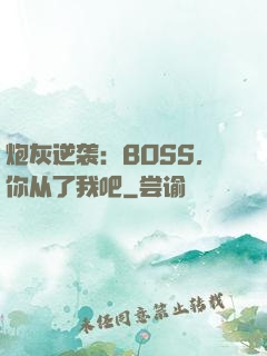 炮灰逆袭：BOSS，你从了我吧