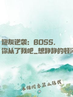 炮灰逆袭：BOSS，你从了我吧