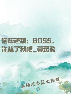 炮灰逆袭：BOSS，你从了我吧