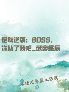 炮灰逆袭：BOSS，你从了我吧