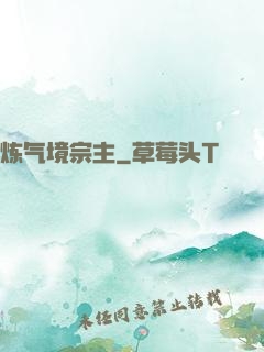 炼气境宗主
