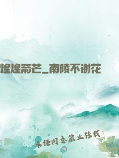 煌煌箭芒