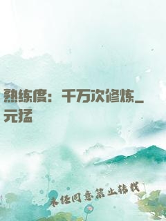 熟练度：千万次修炼