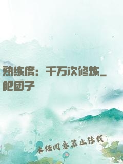 熟练度：千万次修炼