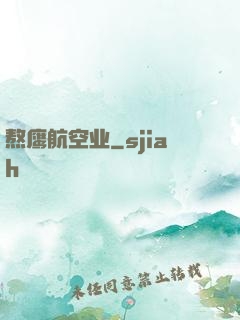 熬鹰航空业