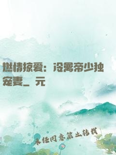 燃情掠爱：冷禽帝少独宠妻