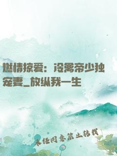 燃情掠爱：冷禽帝少独宠妻