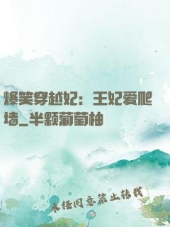 爆笑穿越妃：王妃爱爬墙
