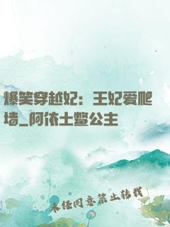爆笑穿越妃：王妃爱爬墙