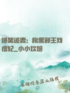 爆笑追妻：腹黑邪王戏痞妃