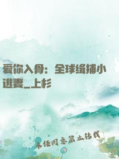 爱你入骨：全球缉捕小逃妻