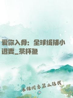 爱你入骨：全球缉捕小逃妻