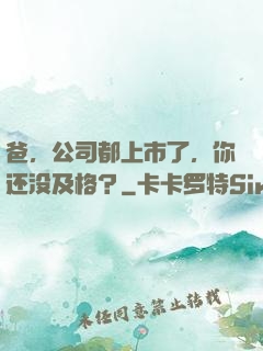 爸，公司都上市了，你还没及格？