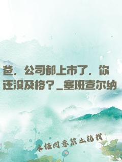 爸，公司都上市了，你还没及格？