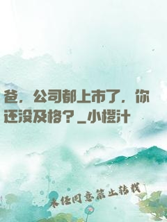 爸，公司都上市了，你还没及格？