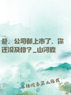 爸，公司都上市了，你还没及格？